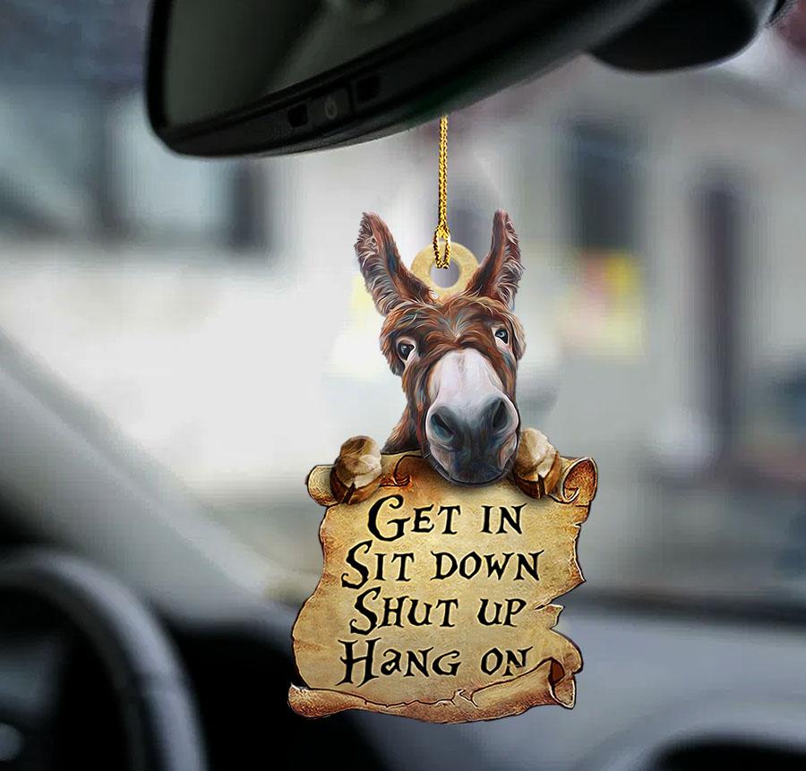 Donkey Get In Two Sided Ornament – Gift For Donkey Lovers