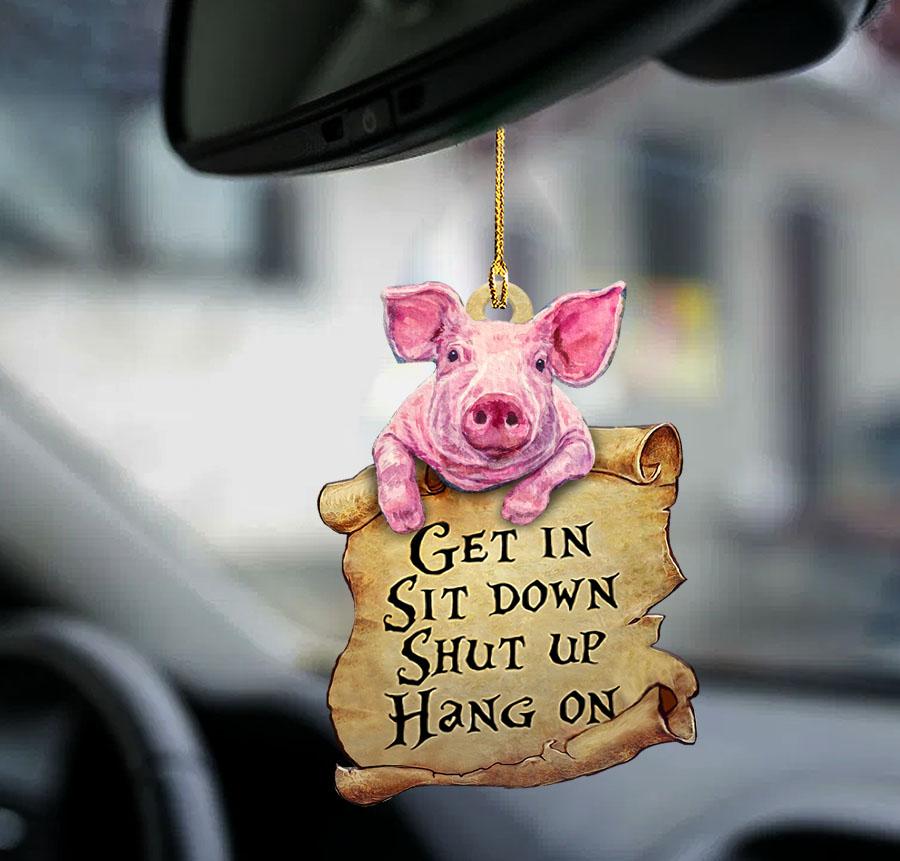 Pig Get In Sit Down Shut Up Hang On Two Sided Ornament